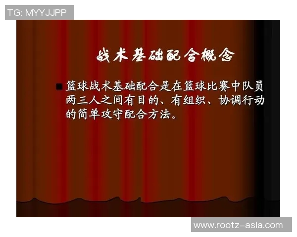 南京排球队快攻战术深度解析与实战应用探讨