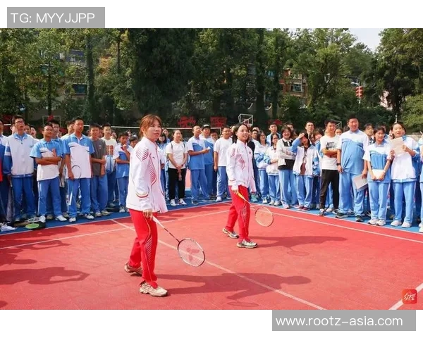 陈芳独家分享网球心得与技巧助你提升球技的全方位指南