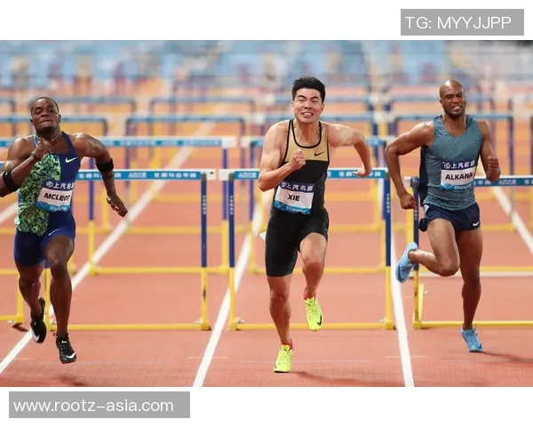 上海排球队在钻石联赛中的节奏表现分析与未来展望