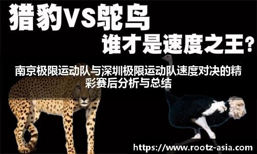 关键词4